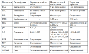 Анализ мочи расшифровка sg норма