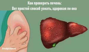 Как проверить здоровье печени и почек