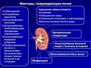 Схватили почки что делать