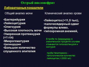 Показатели общего анализа мочи при остром пиелонефрите