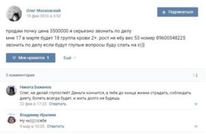 Как продать почку в белоруссии