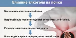 Почему болят почки после тренировки