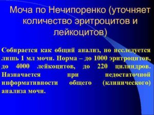 Эритроциты в моче 5000 по нечипоренко