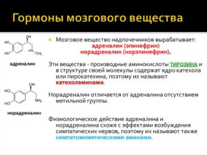 Адреналин гормон надпочечников