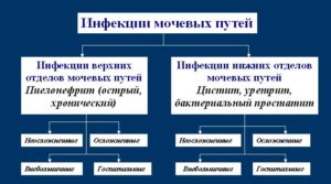 Инфекции мочевыводящих путей у женщин симптомы лечение антибиотиками