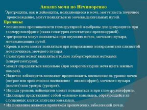 Эритроциты в моче 5000 по нечипоренко