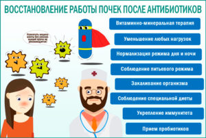 Заболели почки от антибиотиков