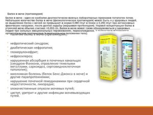 Как уменьшить белок в моче