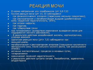 Кислотность мочи 5 что это значит