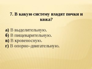 В какую систему входят почки и кожа