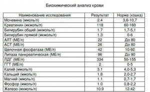 Как обозначается мочевина в биохимическом анализе крови