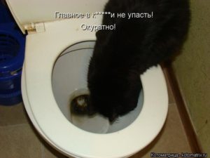 После того как схожу в туалет по маленькому еще хочется
