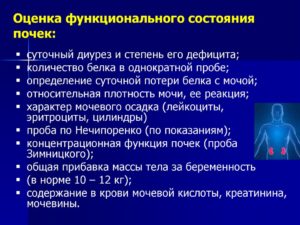 Функциональное состояние почек оценивается по анализу мочи методом