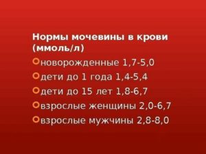 Уровень мочевины в крови норма