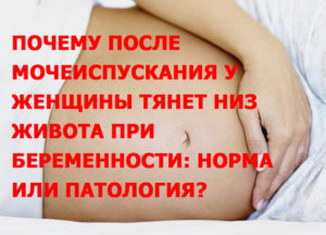 Боль внизу живота при мочеиспускании при беременности