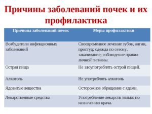 Профилактика заболеваний почек народными средствами