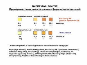 Билирубин в моче повышен при беременности