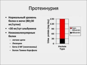 Когда в моче белок диета