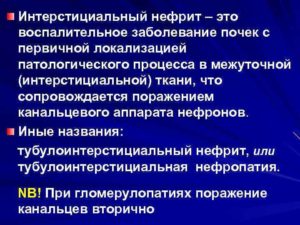 Интерстициальные заболевания почек