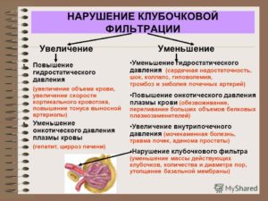 Как повысить клубочковую фильтрацию почек медикаментозно