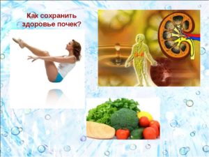 Как сохранить здоровье кожи и почек 3 класс