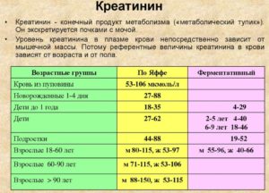 Норма креатинина в крови у мужчин