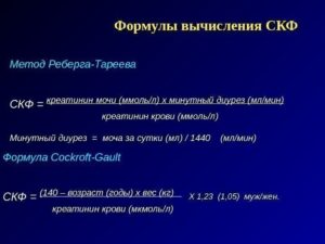 Проба реберга формула расчета