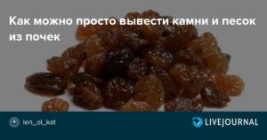 Чем вывести из почек песок и камни