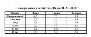 Чашечки почек норма у детей