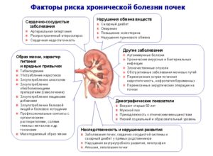 Заболевание почек как проверить