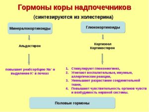 Гормоны коры надпочечников и их физиологическая роль