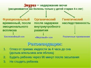 Недержание мочи у ребенка 3х лет причины и лечение