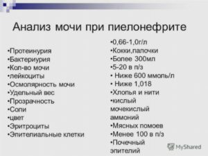 Анализ мочи при пиелонефрите таблица