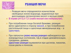 Реакция в моче