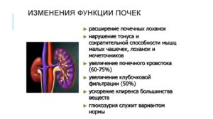 Расширение лоханки почек при беременности