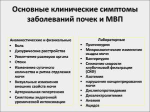 Инфекция почек симптомы