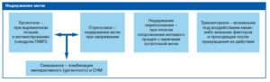 Энурез при алкогольном опьянении