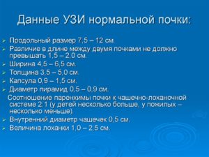 Размеры правой почки в норме по узи у женщин