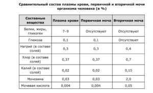 В состав вторичной мочи входят