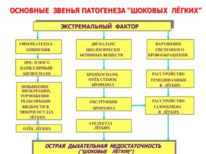 Ишемия почек патогенез