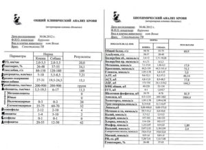 Схема биохимического анализа крови