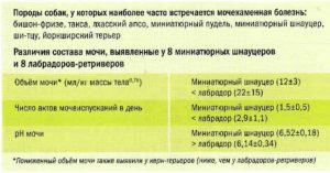 Мочекаменная болезнь у собак чем кормить