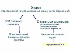 Энурез у ребенка 7 лет