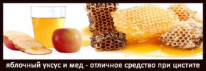 Можно ли мед при цистите