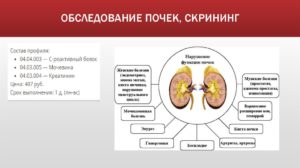 Как проверить почки самостоятельно