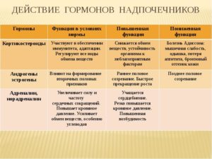 Гормоны коры надпочечников и их физиологическая роль