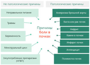 По какой причине может болеть почка