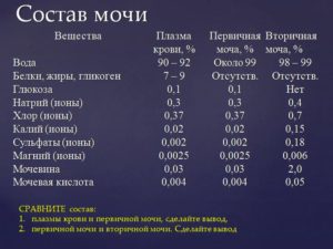 Первичная моча здорового человека не содержит