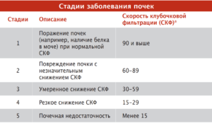 Можно ли повысить скорость клубочковой фильтрации почек