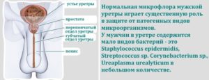 Уретрит какие анализы сдать мужчине